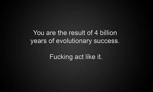 You are the result of 4 billion years...